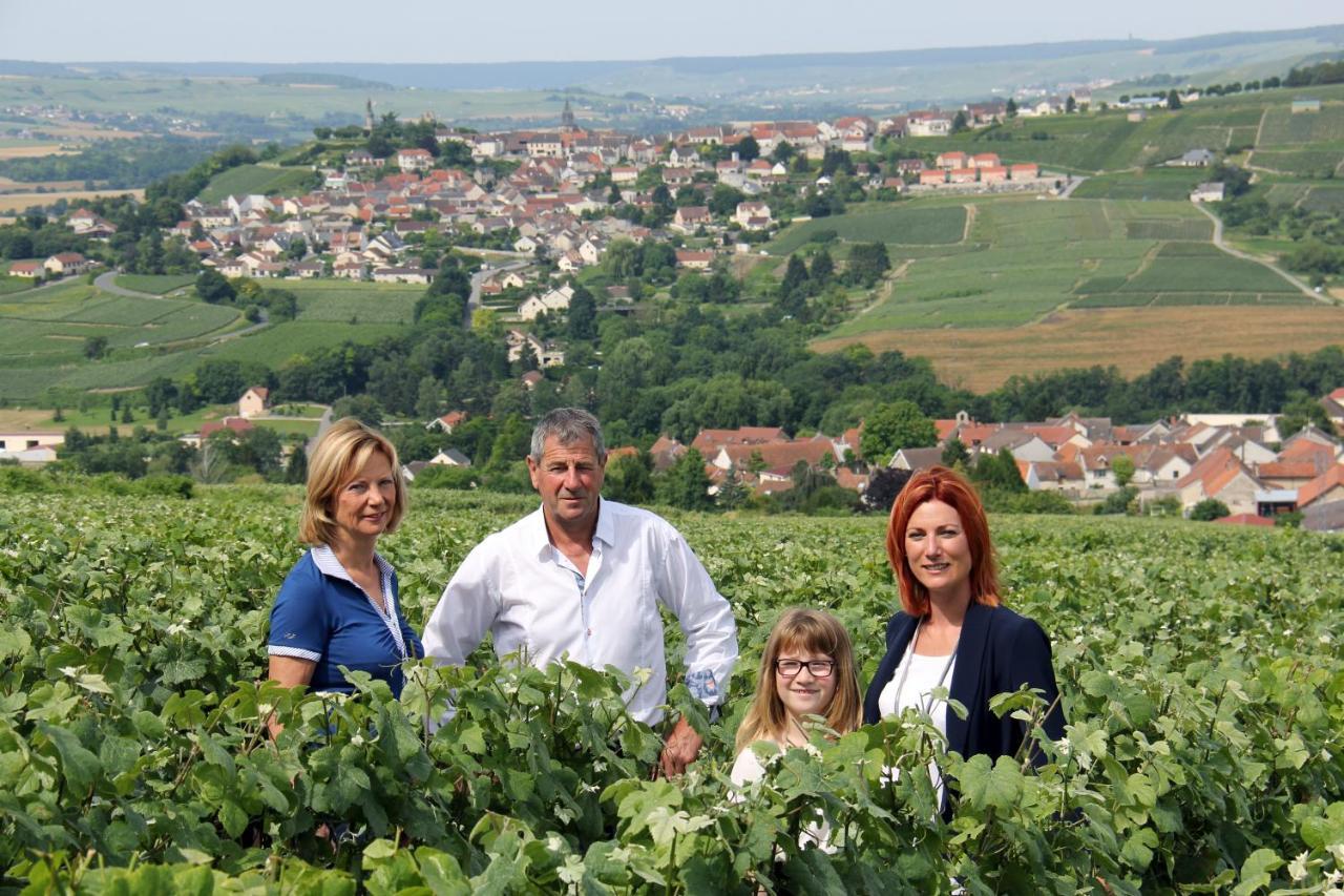 La Grange D' Angel Villa Chatillon-sur-Marne Luaran gambar
